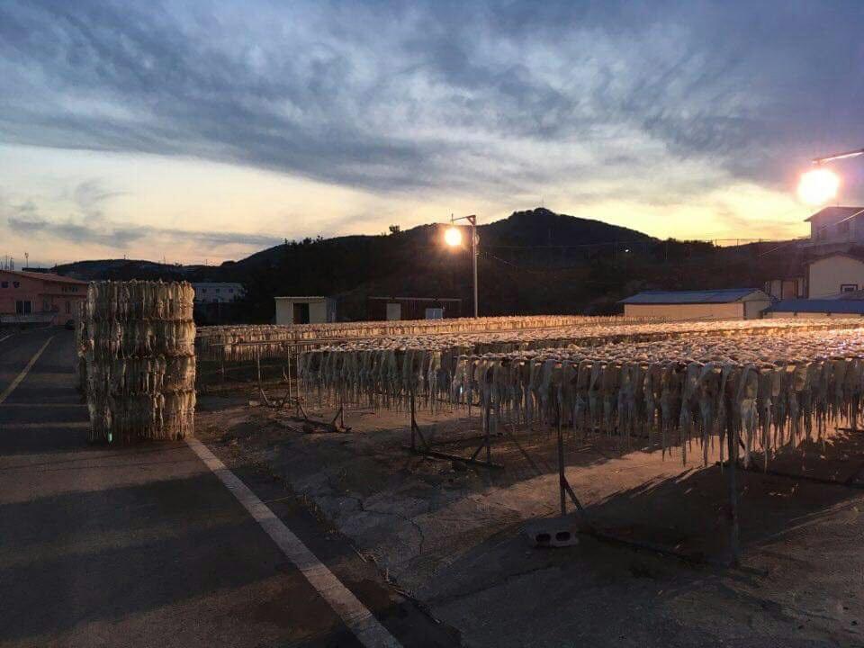 Tobang Red Clay Pension Pohang Extérieur photo